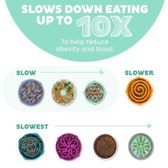 Outward Hound Slo Bowl SMALL Mint Green Puppy Slow Feeder Dog Pomeranian - Picture 9 of 9